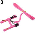 Pet Cat Rabbit Walking Training Soft Straps Harness Leash Traction Belt Tool. 