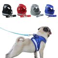 Dog Chester + Leash ( Small , XL ). 