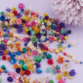 200pcs Dried Flowers For DIY Epoxy Resin Candle Making Jewellery Glass Filler. 
