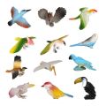 Different Kinds Simulated Bird Animals Models Toys Set Artificial Multi-Color Birds Kids Educational. 