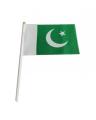 Pakistan Flag with Stick. 