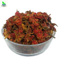 Gul Anar 1KG - Pomegranate Flower - 100% Original, Fresh and Pure Gule Annar / Anaar Phool 1000 grams by Herbisol. 