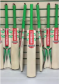 GRAY NICOLLS Hard Ball Cricket Bat 2025 – HIGH QUALITY | Best Price in Pakistan 🏏–TM Sports.. 