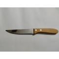 Feng & Feng Kitchen Knife - Best Kitchen Knife Stainless Steel Fruit Knife All purpose knife with Wood Handle. 