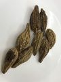 Black Myrobalan Whole - Kali Hareer Sabut  - 100 Grams. 