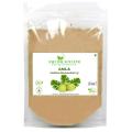 Shudh Online Amla Powder for Hair Growth, Amala Powered (100 Grams), Nellikai, Aawla, Aamla, Amloki, Usirikaya, Gooseberry. 