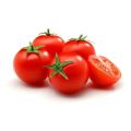 Qty 40+ Tomato Seeds 4 Varieties Vegetable Kitchen Gardening. 
