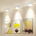 Surface Mounted LED Ceiling Light Downlight Mini 3W 5W 10W 15W 20W 220V High Power Modern Home Lighting LED Down Light Round Led Panel Spot Lamp for Bathroom Bedroom Kitchen Living Room. 