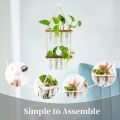 Glass Hanging Planter Terrarium – Hydroponic Test Tube Vase with Wooden Hanger & Rope for Green Plants, Flowers, Home & Office Décor By Padini Collection. 