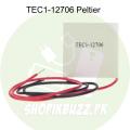Tec1-12706 12706 Tec Thermoelectric Cooler Peltier 12V| SMZ Store. 