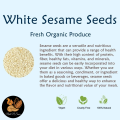 Safaid Til | Sufaid Till | White Sesame Seeds | Sesame Seed 250 Grams By Nuts N Snax. 