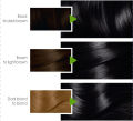 Garnier Color Naturals - 1 Noir Black Hair Color. 