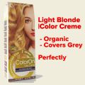 Color On Synthetic Dye Hair Permanent Hair Color Shade 7 Light Blonde. 