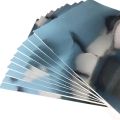 Pack Of 4 Metallic Card Sheet Glossy Golden and Silver 12 inch x 10 inch art and craft material. 