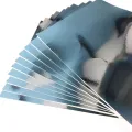 Pack Of 4 Metallic Card Sheet Glossy Golden and Silver 12 inch x 10 inch art and craft material. 