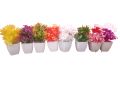 Pack of 8 Mini Plant Artificial Decoration Piece with Pot - Ideal for Home & Office Decoration. 