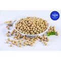 Soya Bean White Soy Beans Without Oil Clean Best for Soya Chunks 5 Kg Pack سویا بین. 