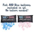 ARELENE the Perfect Addition to Your Gender Reveal Party Supplies Gender Reveal Balloon or Girl. 
