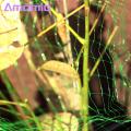 Amamia Plant Net Cover Convenient Outdoor Garden Plant Protector Mesh Fencing. 