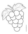 Coloring Book of Fruits Painting Activity For Kids. 