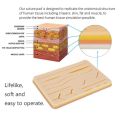Complete Suture Practice Kit for Medical and Vet Students - Reusable Skin Simulation Silicon Pad with Pre-Cut Wounds, Full Set of Essentials Stainless Still Suturing Tools. 