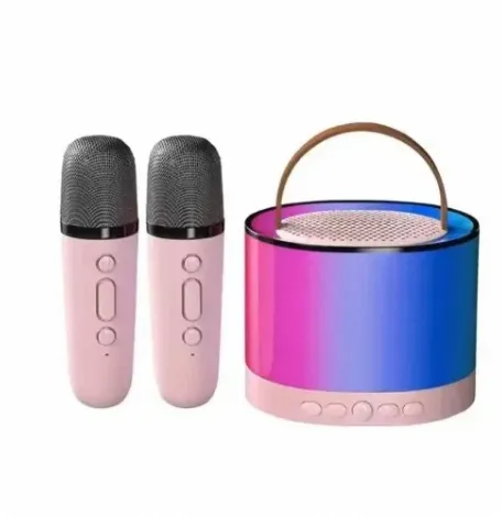K12 Portable Bluetooth Karaoke Speaker with 2 Wireless Microphones for ...