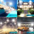LED Flood Light 100W. 