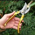 Gardening Pruning Shear Scissors Plants Grafting Cutter High Carbon Pruner Tools for Garden pruning scissor /garden scissor/pruning shears for plants. 
