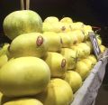 Arifwala Desi Yellow Melon ( Kharbooza ) Fresh Seeds For Home Kitchen Gardening. 