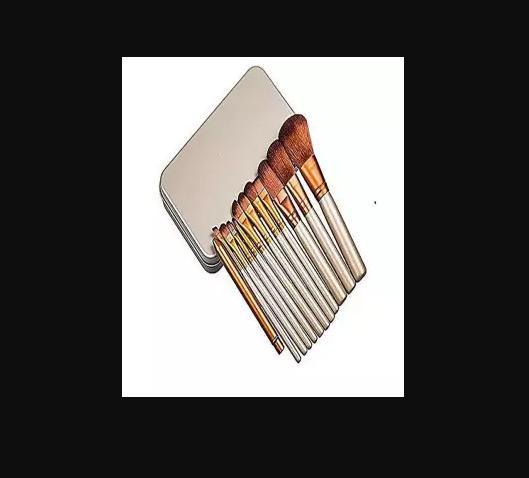Brush Kit Professional - Pack Of 12 Brushes