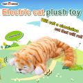 YBC Children Cute Electric Ragdoll Cat Dolls Plush Toy Sound Motor Kids Toys Gifts. 