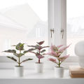 IKEA FEJKA Artificial potted plant with pot, set of 3, Painted nettle. 
