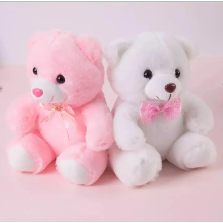 Cute Huggale Plush Teddy Bear and 10” Cozy Hug Buddy | Daraz.pk