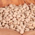 Bean Seeds (Bush) - Navy 15gm. 