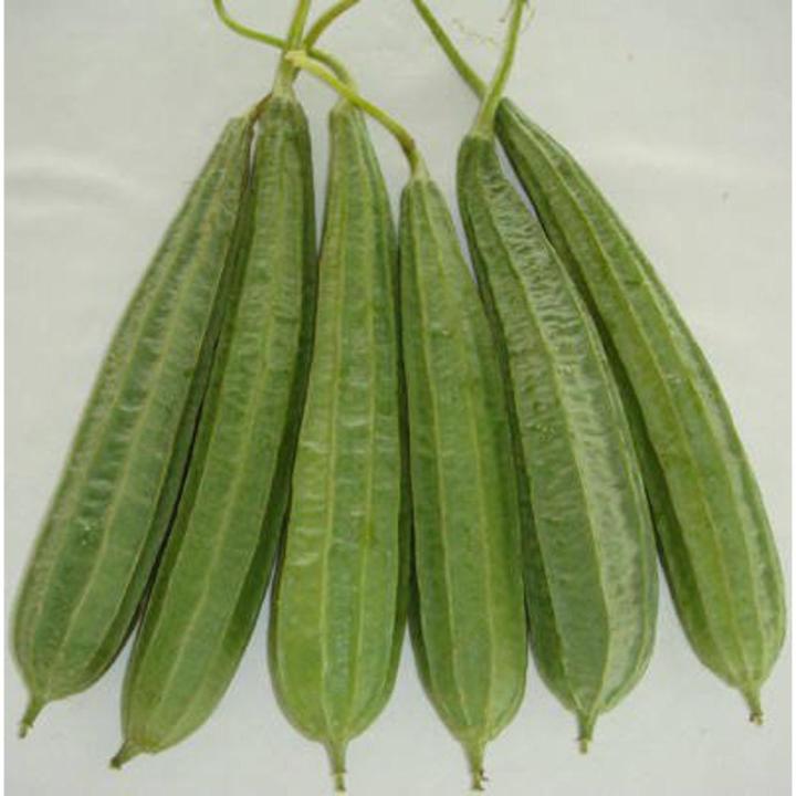 Luffa Gourd ( کالی توری, Kali Tori , Desi) Summer Vegetable seeds Buy one get one Free