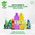 SaafnSafe Anti-Bacterial Dishwashing Gel 250 ML (Pack of 3). 
