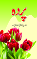 Purdah by Syed Abu Alaa Maududi - Urdu. 