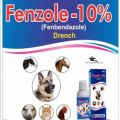 Fenzole 10% Drench 100ml – Powerful Dewormer for Livestock & Poultry and Pets. 