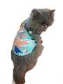 Cat Beach Blue Shirt - Small. 