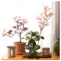 Ikea Artificial Potted Plant Moss. 