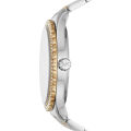 Michael Kors MK6899 Stainless Steel Wrist Watch for Women / Wrist Watch For Girls. 