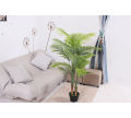Imported artificial Palm tree with black Planter. 