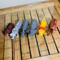 Animal Action Figures Model Toy Set Realistic Wild Animal Educational Toy (6 pcs). 