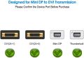 Rankie Mini DisplayPort (Mini DP) to DVI Cable Thunderbolt Compatible  6 Feet. 