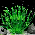 Plant Eco-friendly Fish Tank Seaweed Aquarium Supplies. 