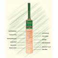 Batting Legends Cricket Memorabilia - Wall Hanging Frame. 