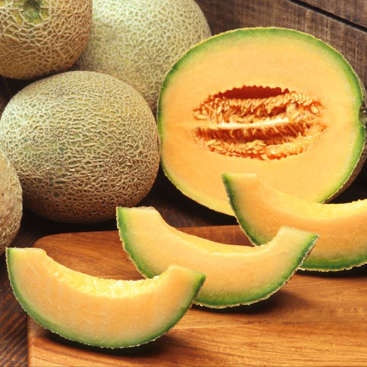 Honeydew Melon ( Kharbooza ) Seeds Best for Home Kitchen Gardening