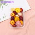 Embossed Dried Flowers Diy Dried Flowers Kit Real Natural ing Flowers for Handmade Jewelry Nails Crafts Bulk Dried Flower Material Favorite Floral Mural Decorations. 