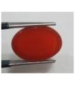 Red Carnelian Gemstone - Weight: 12.80ct. 