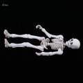 Dollhouse Miniature Shelf Decor 8.7cm Skeleton Doll Mini Action Figures Toy. 